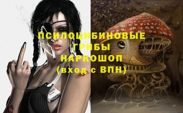прущие крисы Инта
