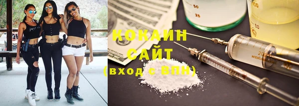 прущие крисы Инта