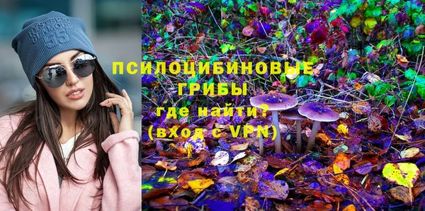 ECSTASY Инсар