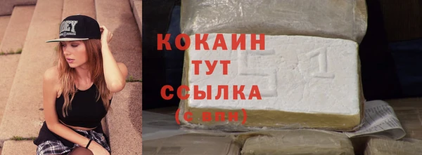 ECSTASY Инсар