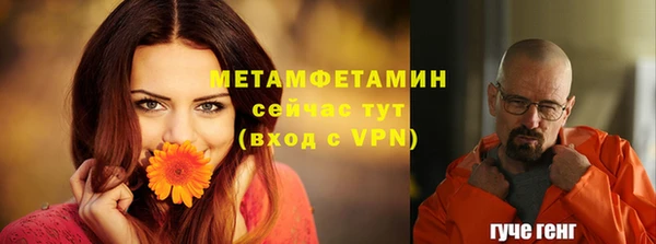 прущие крисы Инта