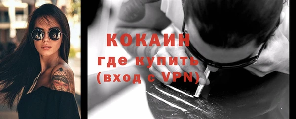 прущие крисы Инта