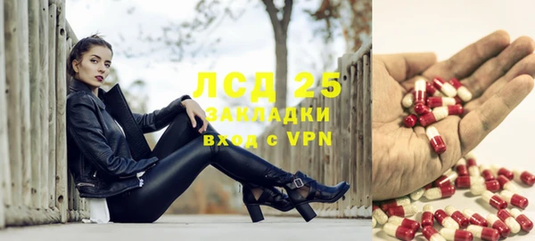 ECSTASY Инсар